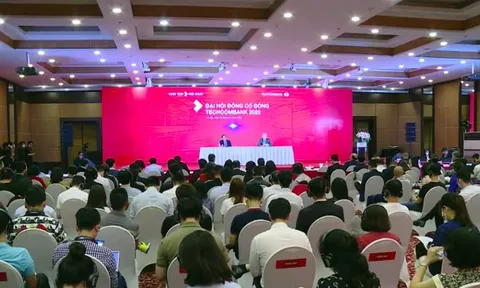 Cổ đông Techcombank chất vấn về khoản vay liên quan Vạn Thịnh Phát
