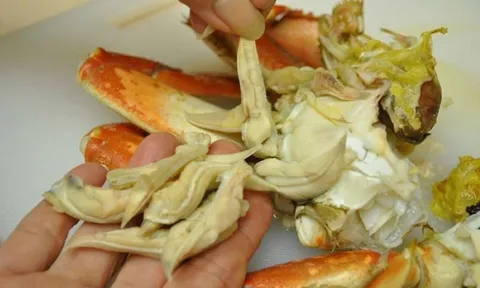 Chuyên gia chỉ ra 3 bộ phận tuyệt đối không nên ăn của cua, cần loại bỏ ngay