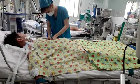 Tp.HCM: Ứng phó với dịch sốt xuất huyết diễn biến phức tạp