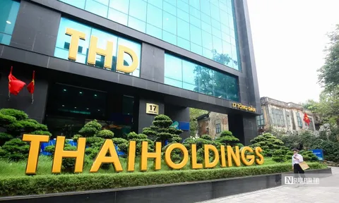 [Chân dung Thaiholdings] Bài 2: Băn khoăn chất lượng tài sản Thaiholdings