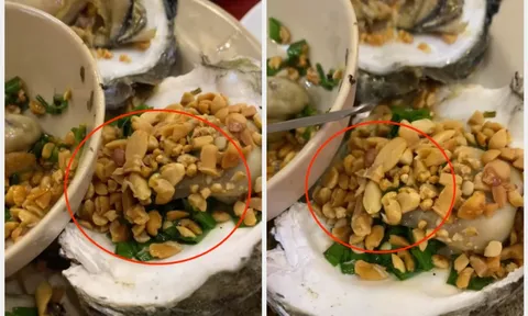 Bình Dương: Sở Y tế chỉ đạo kiểm tra vụ hàu nướng xuất hiện dòi