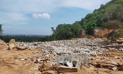 Truy tố đối tượng phá nát gần 1,8ha rừng phòng hộ trên núi Thị Vải