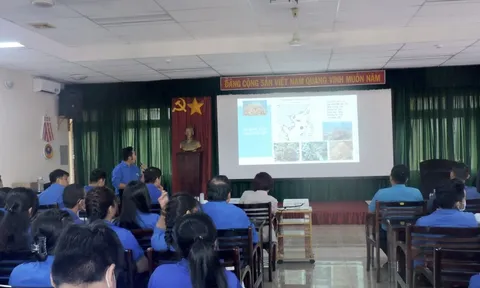 Thanh niên làm “vườn hoa tái chế” để tuyên truyền chống rác thải nhựa