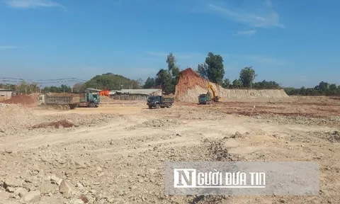 Bà Rịa - Vũng Tàu: Quản lý chặt việc san hạ, cải tạo đất nông nghiệp