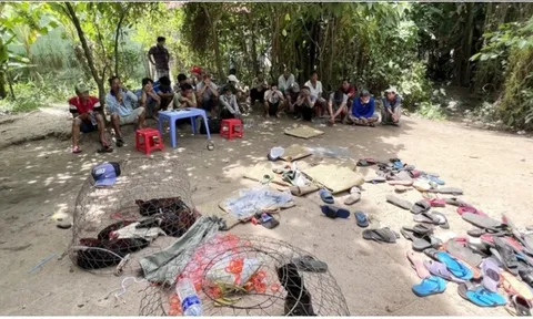 An Giang: Triệt phá tụ điểm đá gà, bắt 21 đối tượng