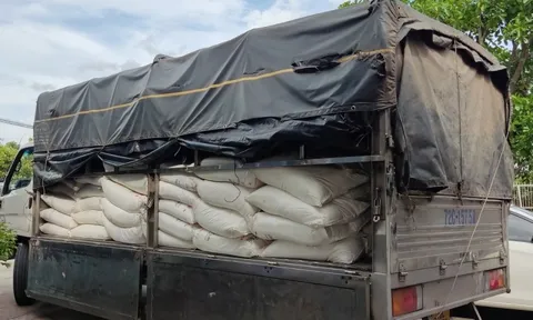 Long An: Phát hiện, thu giữ 2 xe tải chở đường không rõ nguồn gốc