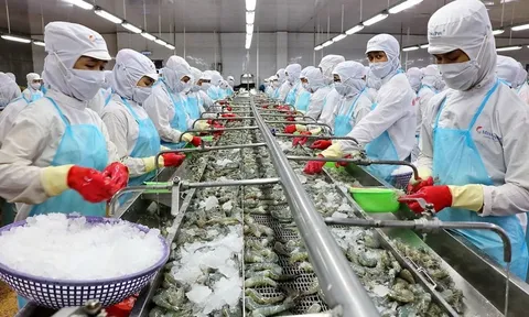 Sau mùa bội thu, doanh nghiệp thủy sản lo giảm tốc nửa cuối năm