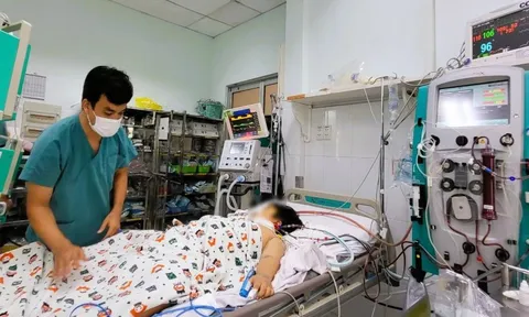 Số ca tử vong cao, Tp.HCM điều trị sốt xuất huyết theo mô hình chống dịch Covid-19