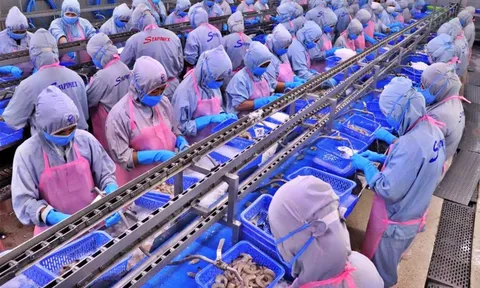 Doanh nghiệp loay hoay tìm lời giải cho bài toán thiếu vốn
