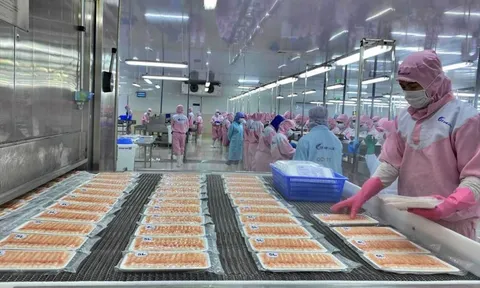 Đơn hàng giảm, doanh nghiệp thủy sản tìm giải pháp "lội ngược dòng"