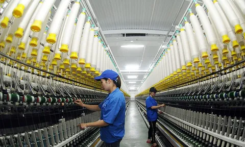 Điểm mặt 8 nhóm vấn đề mà doanh nghiệp Việt đang đối diện