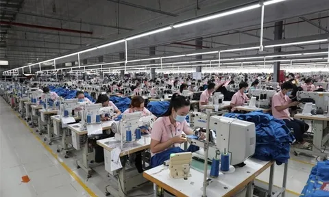 Dự báo tình hình hoạt động của doanh nghiệp tại TP.HCM quý IV năm 2021