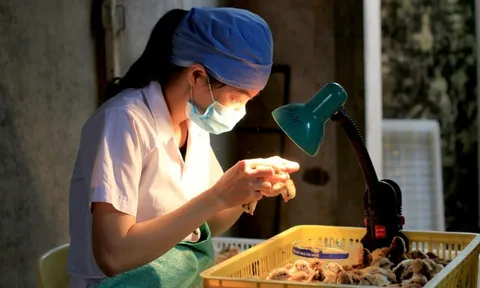 Nghề lạ: Chỉ ngồi cả ngày kiếm 60 triệu/tháng nhưng vẫn thiếu người làm