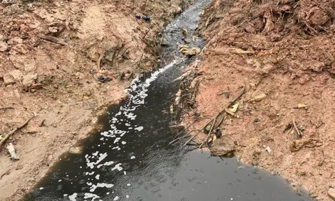 Đồng Nai: Người dân sống dọc kênh Rạch Mọi kêu cứu vì ô nhiễm