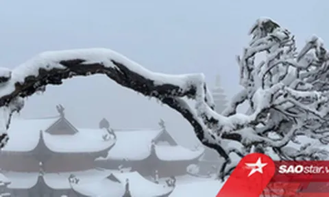 Sa Pa ngập tuyết trắng, dân tình kéo nhau đi ngắm nhưng lại nhận 'trái đắng'