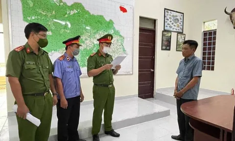 Vạch trần vụ hai cán bộ kiểm lâm nhận hối lộ để cho hàng chục lâm tặc phá rừng