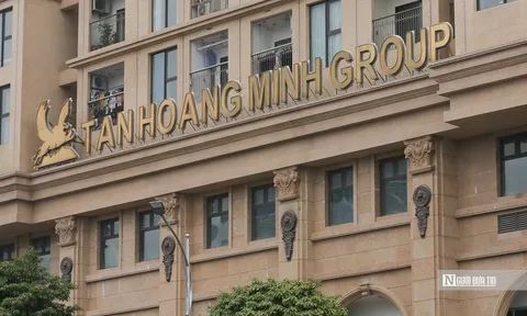 Những dự án hạng sang và 3 lần bỏ cọc đấu giá của ông chủ Tân Hoàng Minh