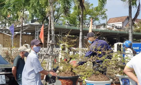 Tp.Đà Nẵng: Chợ hoa Tết vắng khách, người dân dè sẻn chi tiêu