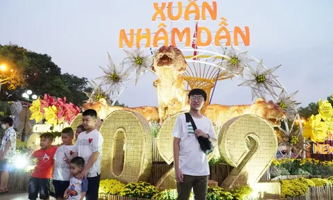 Độc đáo tiểu cảnh linh vật Hổ làm bằng lục bình tại Vĩnh Long