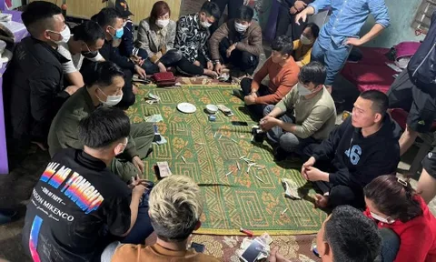 Thủ đoạn tinh vi của "ông trùm" tổ chức đánh bạc ở trang trại lớn
