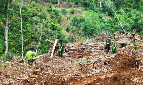 Lâm Đồng: Lý do thu hồi hơn 104ha đất của doanh nghiệp