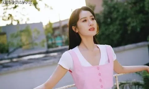 Viên Băng Nghiên trốn thuế, sự nghiệp có nguy cơ mất trắng