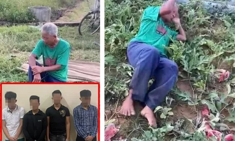 Nghệ An: 3 thiếu niên phá dưa hấu được bảo lãnh về thi tốt nghiệp THPT