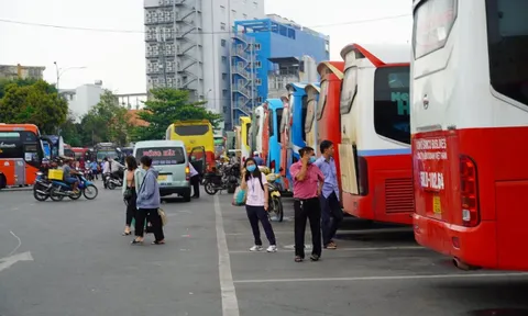 Giá xăng dầu giảm: Mở "nút thắt" cho doanh nghiệp vận tải, tài xế công nghệ