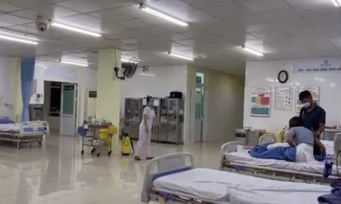 Đà Nẵng: 22 du khách ngộ độc thực phẩm