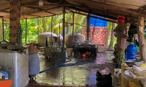 Vĩnh Long: Giết mổ động vật “chui”, bị phạt 7 triệu đồng
