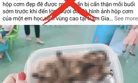 Bị phạt 7,5 triệu đồng vì đăng tin sai sự thật, "học sinh ăn cơm với thịt chuột"