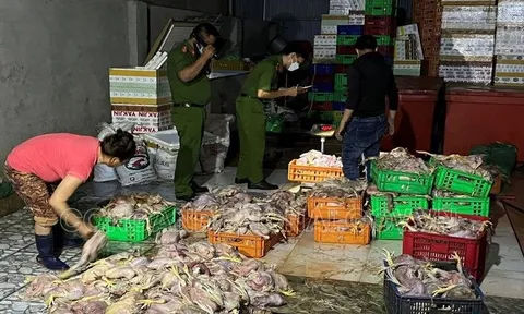 Đồng Nai: Mua gà chết giá 4.000đ/kg “hô biến” thành gà sạch