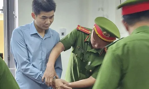 Hé lộ nguyên nhân cán bộ ban Quản lý dự án bị khởi tố, bắt tạm giam