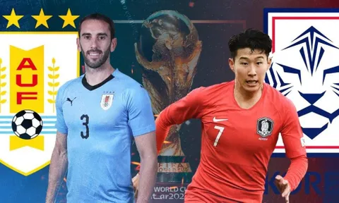 “Mèo tiên tri”, đại bàng Romeo dự đoán kết quả trận Uruguay và Hàn Quốc