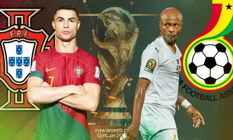 “Mèo tiên tri” và “thần rùa” dự đoán kết quả trận Bồ Đào Nha và Ghana