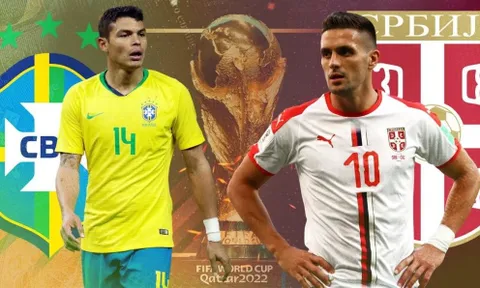 “Mèo tiên tri” và “thần rùa” dự đoán kết quả trận Brazil và Serbia