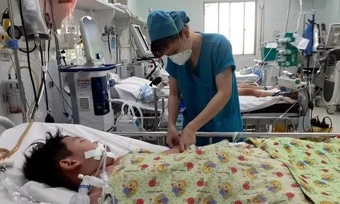 Bộ Y tế: Dự báo dịch sốt xuất huyết tiếp tục diễn biến phức tạp