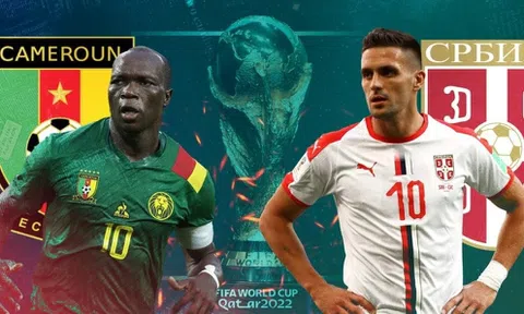 “Mèo tiên tri” và chuyên gia dự đoán kết quả trận Cameroon và Serbia