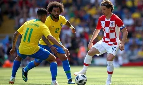 “Mèo tiên tri” và “thần rùa” dự đoán bất ngờ về trận Croatia và Brazil