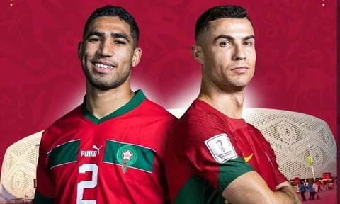 “Thần rùa” dự đoán kết quả trận Maroc và Bồ Đào Nha