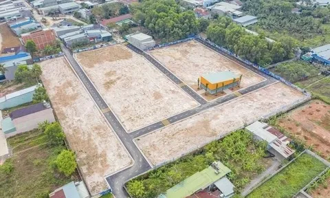 Đồng Nai: Loạn đất cá nhân biến thành dự án