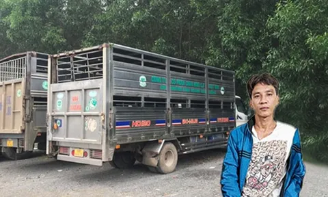 Đồng Nai: Bắt đối tượng trộm xe tải đang trên đường tẩu thoát