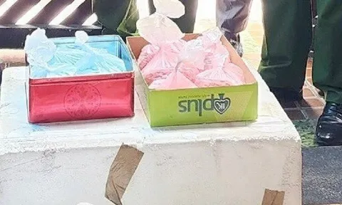 Đà Nẵng: Bóc gỡ đường dây ma túy xuyên quốc gia, thu giữ thêm súng đạn
