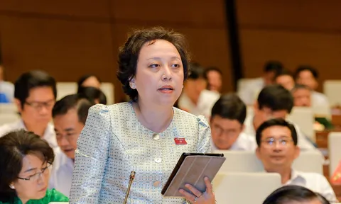 “Thanh tra dược có 5 ông mà 6.000 nhà thuốc thì không biết làm kiểu gì?”