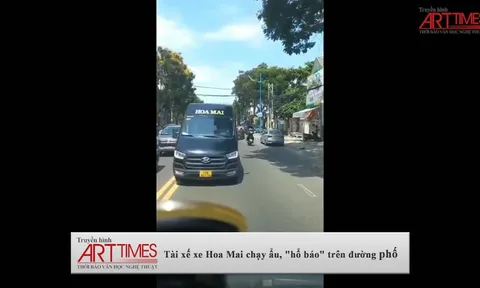 Clip: Tài xế xe Hoa Mai chạy ẩu, "hổ báo" trên đường phố