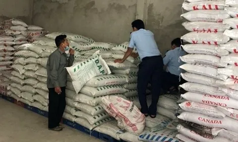 Kiên Giang: QLTT chuyển hồ sơ vụ mua bán phân bón giả sang cơ quan công an