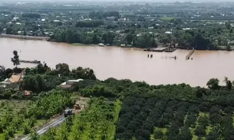 Đồng Nai: Thi công đường dẫn lên cầu Bạch Đằng 2