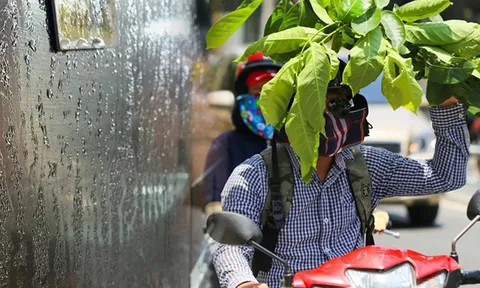 Chuyên gia dự báo cuối tuần Bắc Bộ hửng nắng, nhiệt tăng và nồm ẩm chấm dứt 
