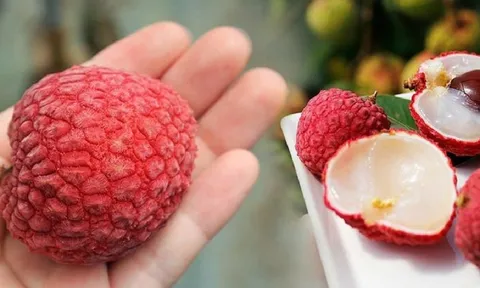 Chọn vải không sâu đầu cực dễ, bảo quản ăn quanh năm nhờ những mẹo này
