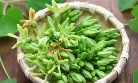 Thêm hoa thiên lý vào bữa ăn hàng ngày, bạn sở hữu 'liều thuốc an thần' cực tốt